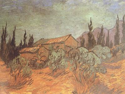 Vincent Van Gogh Wooden Sheds (nn04) oil painting picture